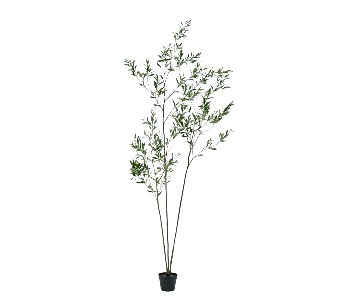 Olijf pot groen 234 cm