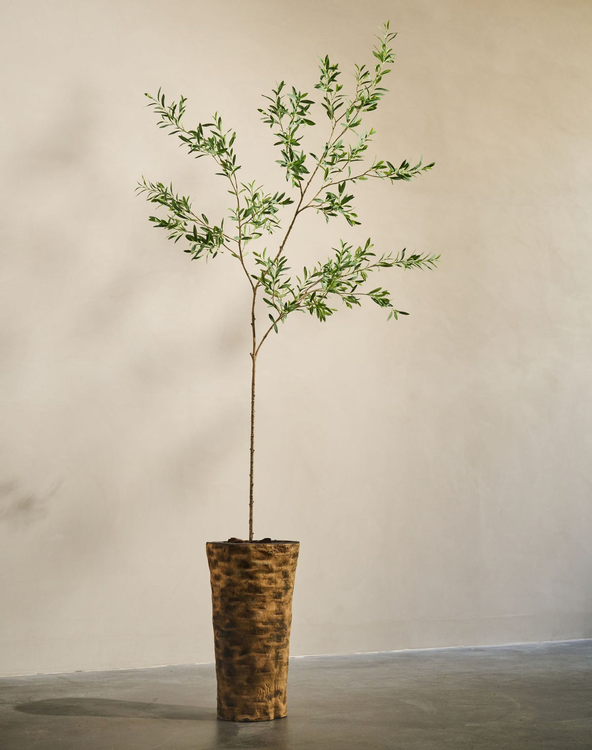 Olijf pot groen 234 cm