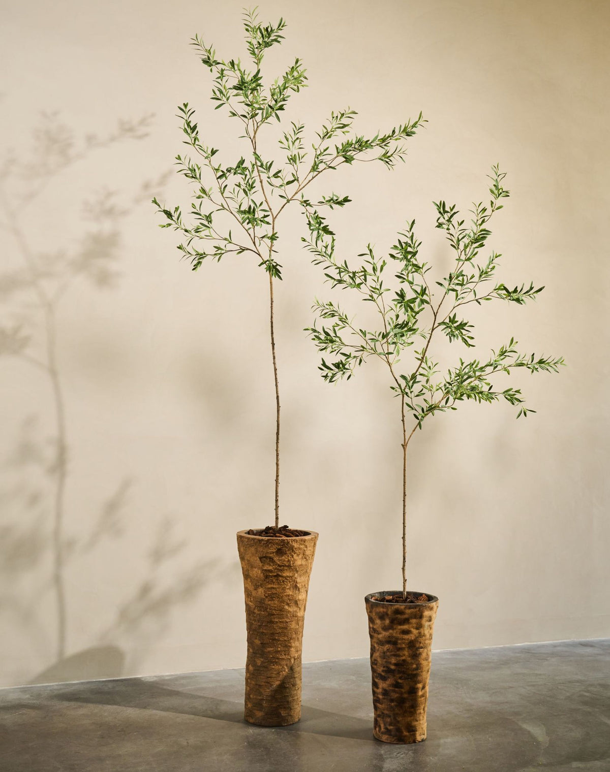 Olijf pot groen 234 cm