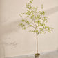 Bucida pot groen 220 cm