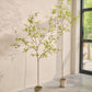 Bucida pot groen 290 cm