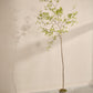 Bucida pot groen 290 cm