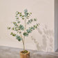 Eucalyptus pot groen 121 cm