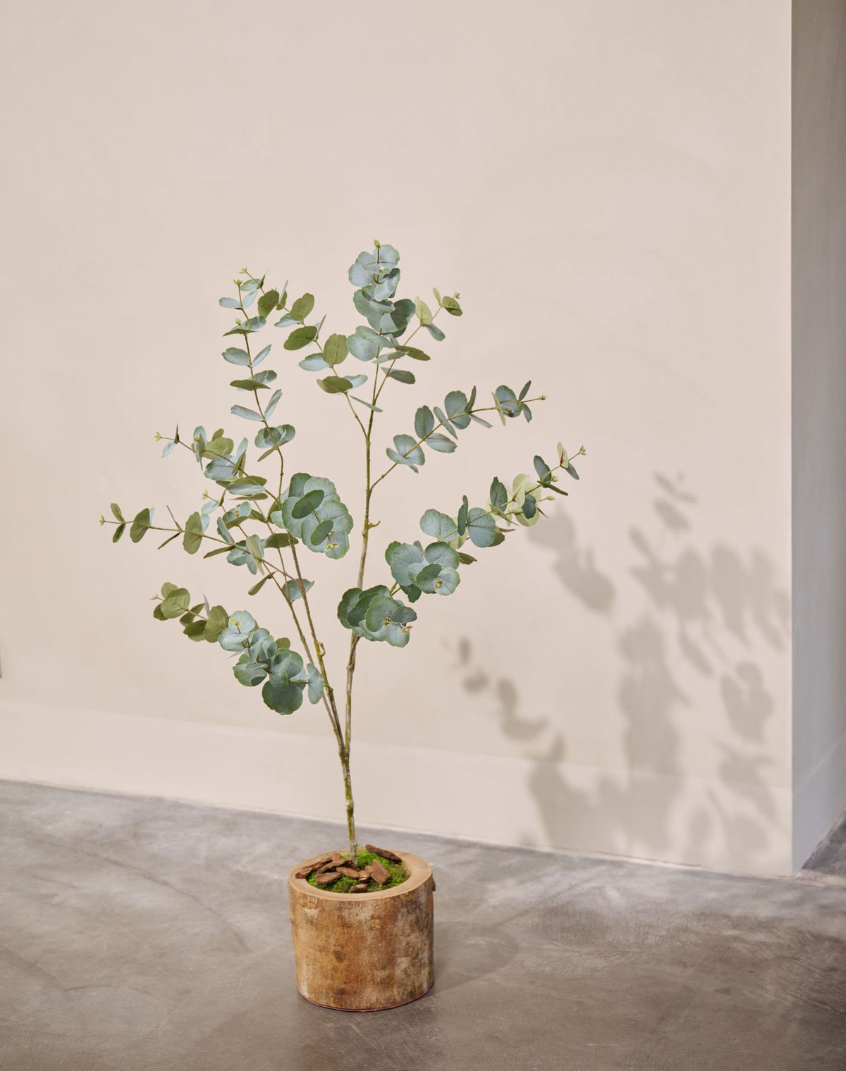 Eucalyptus pot groen 121 cm