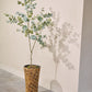 Eucalyptus pot groen 182 cm