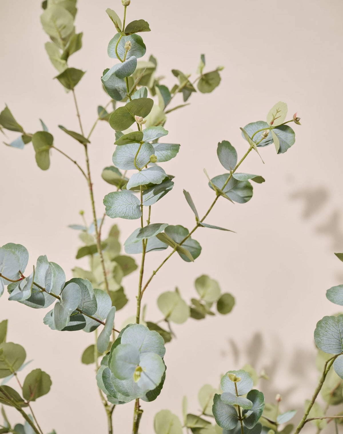 Eucalyptus pot groen 182 cm