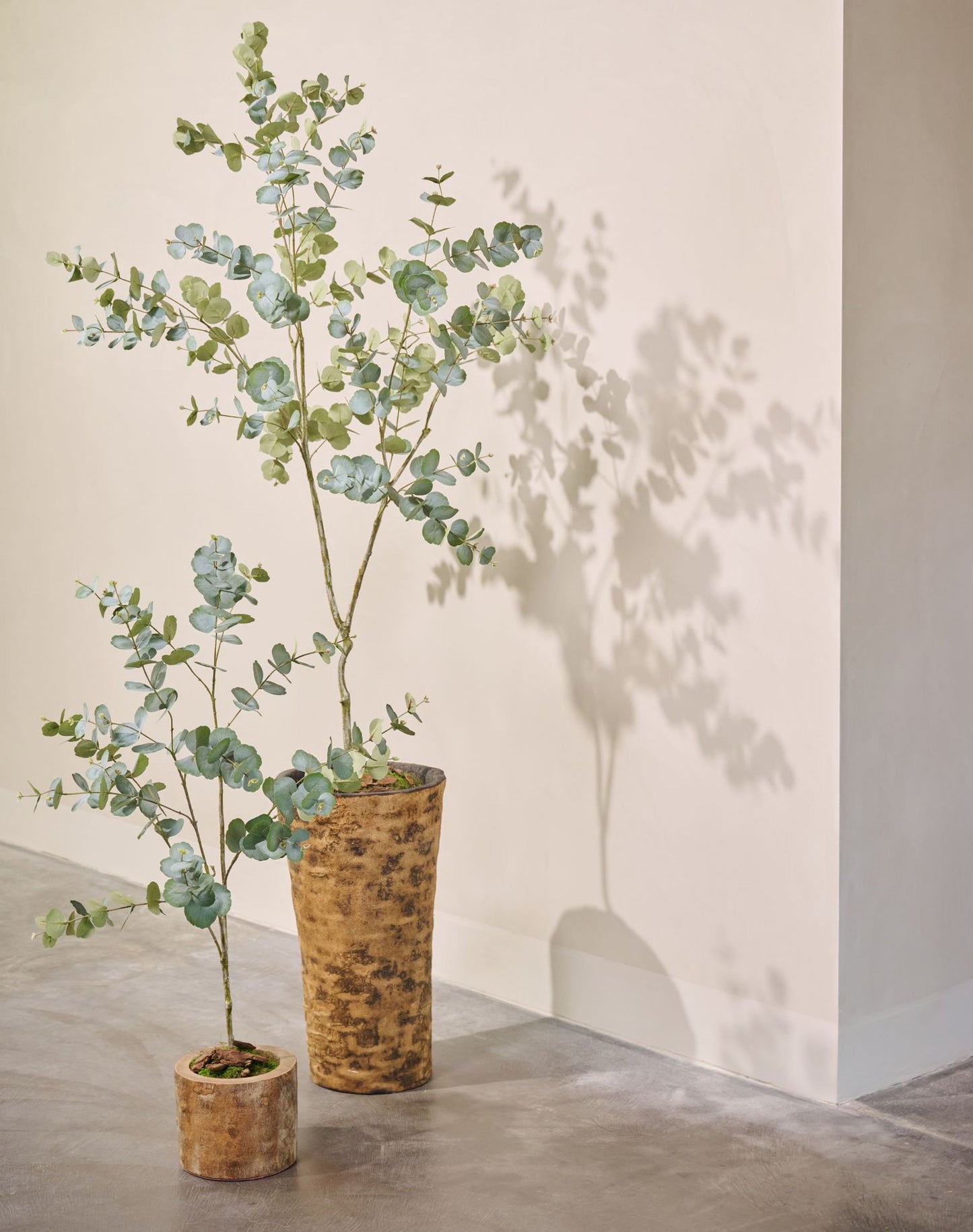Eucalyptus pot groen 182 cm