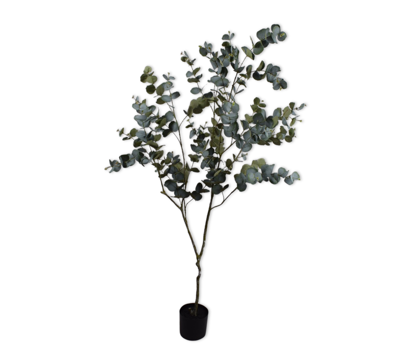 Eucalyptus pot groen 182 cm