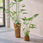 Alocasia pot groen 133 cm