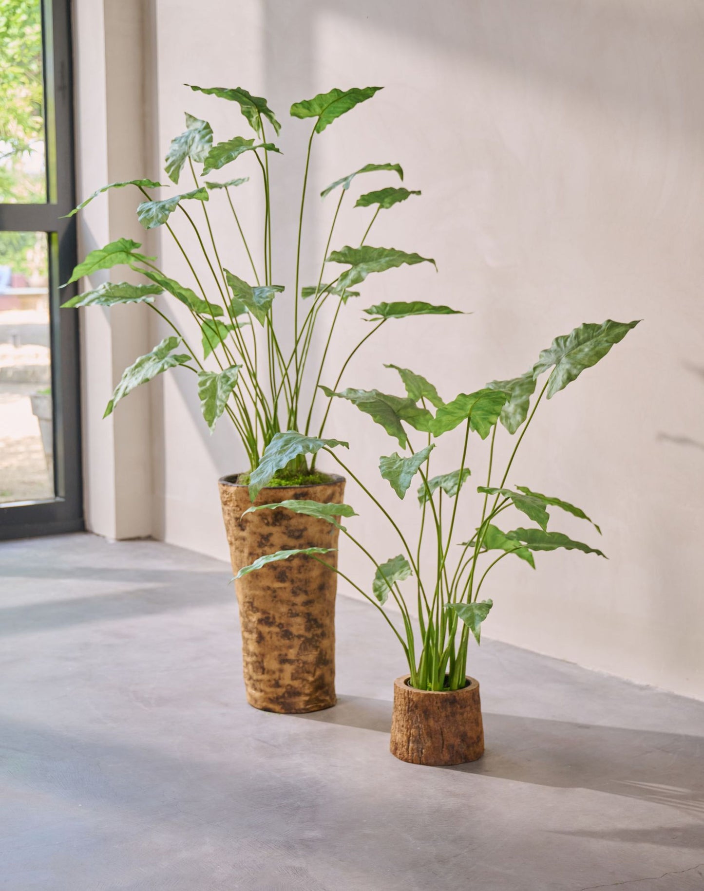 Alocasia pot groen 133 cm