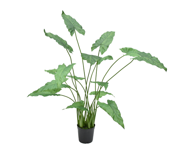 Alocasia pot groen 109 cm